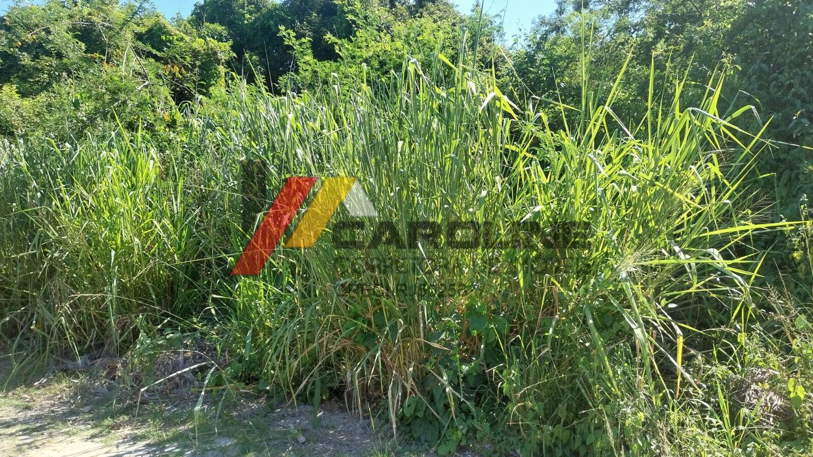 Terreno à venda, 800m² - Foto 2