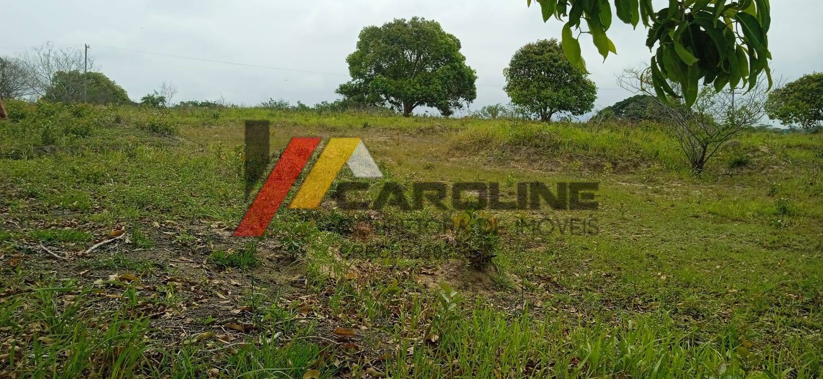 Terreno, 800 m² - Foto 2